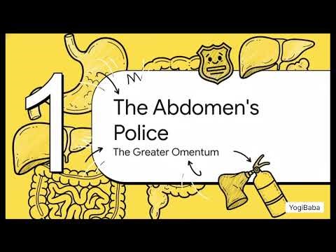 Anatomy's Hidden Stories