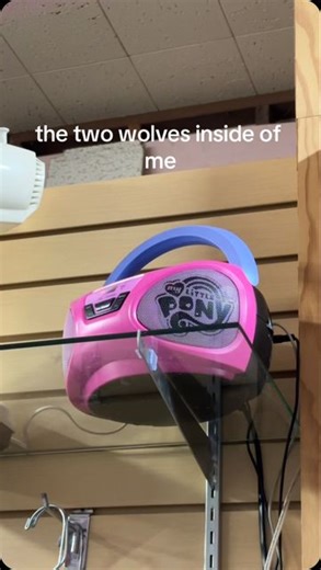 When We Were Young Festival on Instagram: "emo soldier down 🆘 someone donated their ptv CD and my little pony boom box to the thrift store 😭😂 tiktok: lilythebigreddog"