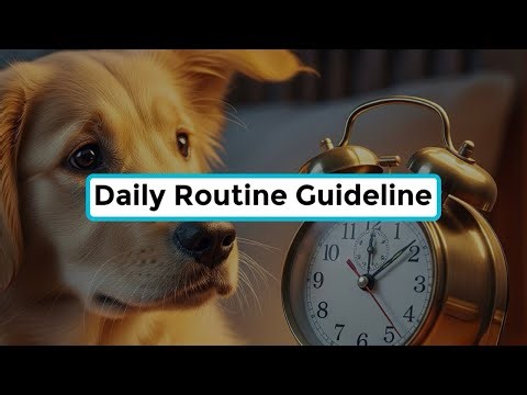 # 8. New Puppy Daily Routine Guideline 