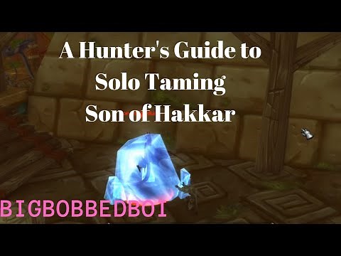 Son of Hakkar : Hunter Solo Tame - ZG Classic WoW Tutorial