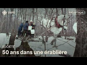 From 1976 to today: the story of the Lebel sugar bush | Green Week