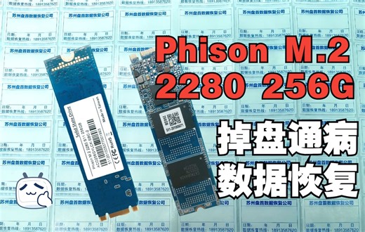 Phison M.2 2280 256G固态硬盘掉盘通病故障长江存储颗粒SSD数据恢复