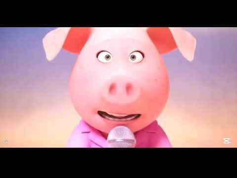 🎵 Animal Hits Studio,Cartoon Melody Mix