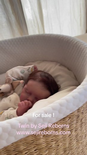 Twin Reborn Baby Doll for Sale | Silicone Twin A Dolls