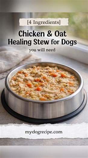 Chicken & Oat Healing Stew for Dogs 🐶🥣 Gentle, comforting, and perfect for dogs with sensitive stomachs or during recovery. Ingredients • 2 cups water or unsalted chicken broth for dogs • 1 cup cooked chicken breast, finely chopped or shredded (skinless, boneless, no seasoning) • 1/4 cup rolled oats (plain, unflavored) • 1/2 cup carrots, peeled and finely grated How to make 1. Combine broth, cooked chicken, oats, and carrots in a pot. 2. Bring to a boil, then reduce heat and let simmer for 10–