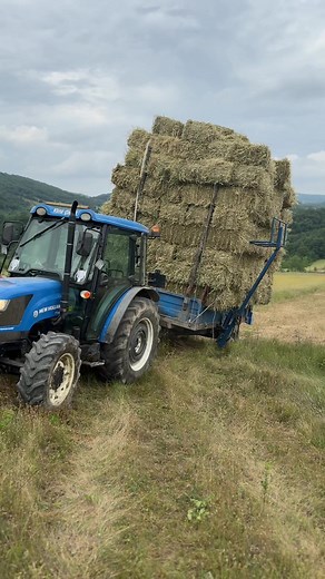 136 BALYA. #piyasadayız #keşfetteyizzz