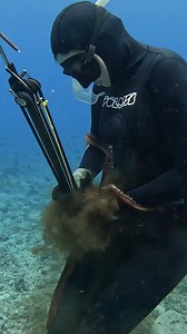 Octopus VS Girl | Ryan Myers