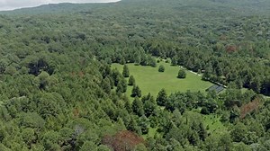 Free Like Videos: 4K & HD | No Watermark | Download Now