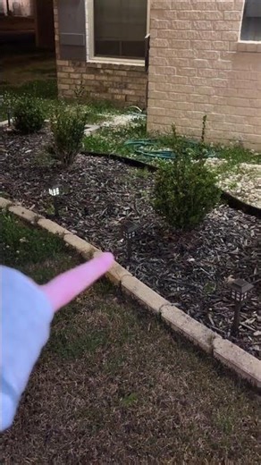 How these compare to our old solar pathway lights