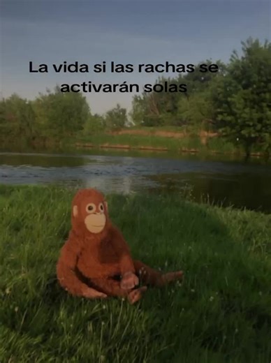 #Viral #mono#peluche#parati #parativiral