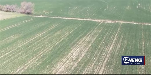Winter wheat conditions: Central Kansas farmers say crops showing signs of stress from drought