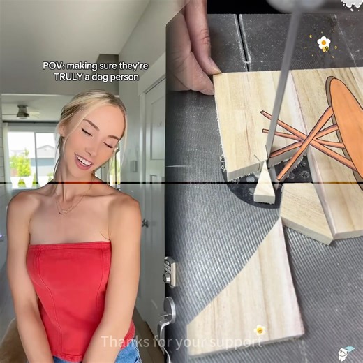 A few tests to find out the truth #dogs #dogcomedy #dogowner