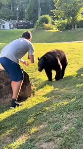 Why why why? . . . . #funny #bear #comedy #fbreels #humor #jokes #danregancomedy #naturalselection #relatable #comedian | Dan Regan Comedy