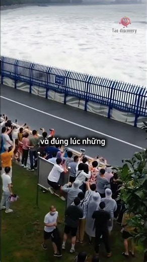 Anh chàng thiên tài không bị ướt khi ngắm sóng 😄