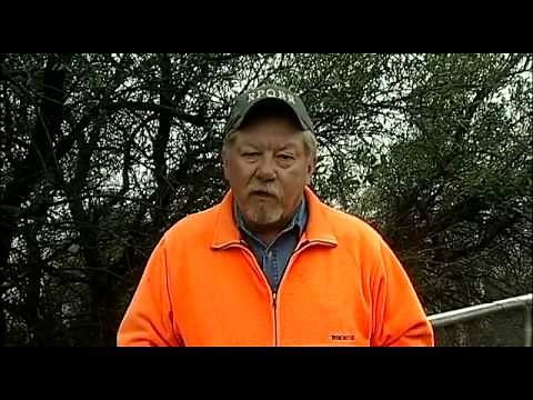 Sounds a Quail Makes