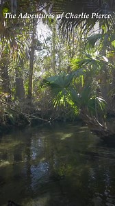 Step into Florida’s wild past with The Adventures of Charlie Pierce! This award-winning 5-book series brings real Florida history to life through thrilling adventures, clever problem-solving, and timeless family values. All inspired by actual diaries and historical figures. Perfect for summer reading, these page-turners are fun and educational for the whole family. Start with one… or grab the full set—now 40% off for a limited time! . . . #CharliePierce #adventuresofcharliepierce #harveyoyer #Fl