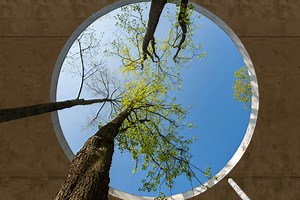 How EY-Earthwatch Ambassadors champion environmental stewardship