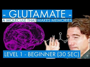 Glutamate - A Memory Molecule (synaptic plasticity mechanism) (Level 1 - Beginner)
