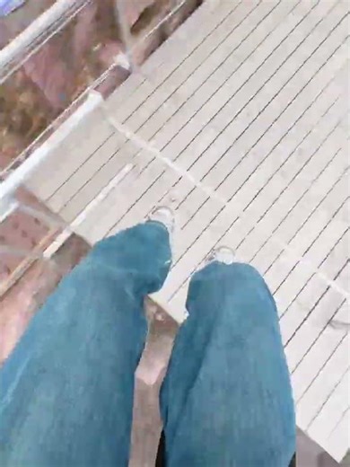 Saying Goodbye: The Emotional Journey of Two Brothers in Cliff World