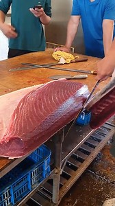 1.4M views · 4.7K reactions | Amazing Bluefin Tuna Trimming Techniques https://heylink.me/3weOnline/ #reelsvideo #reelstrending #reelsviral #yummyfood #deliciousfood #Awesome #awesomefood #streetfood #asianfood #topinasia #ThankMeLater #foodvideo #foodviral #foodlover #instagood #eatwhateveryouwant #foodviral #reelsfoodie #Bangkok #foodblogger #foodporn #foodie #instafood #sgfood #singaporecrave #foodcrave #shorts #malaysiafoodie #malaysia #singapore | Top In Asia | Facebook