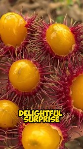 The Golden Rambutan (Nephelium lappaceum) is a rare and unique variety of rambutan, a tropical fruit native to Southeast Asia. Here are some interesting facts about the Golden Rambutan: 1. *Distinctive color*: As its name suggests, the Golden Rambutan has a vibrant golden-yellow skin, unlike the typical red or green skin of regular rambutans. 2. *Sweet and sour taste*: The flesh of the Golden Rambutan is sweet and slightly sour, with a flavor profile similar to a combination of lychee and grape.