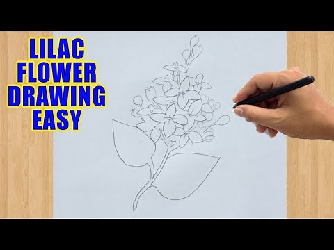How to Draw Lilac Flowers: Easy Step-by-Step Tutorial for Beginners