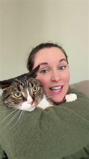 Trying to cheer up Grumpy Cat Axl. #catshorts #tabbycat #cat #catmom