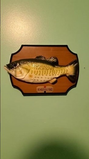 Singing fish on my wall #BillyBass