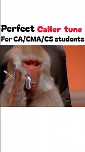 Caller tune for CA CMA CS aspirants😂 #caaspirants #cmaaspirants #csaspirant #shorts
