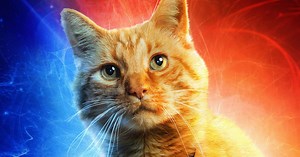 Voici la véritable histoire du chat Goose, fidèle compagnon de Captain Marvel