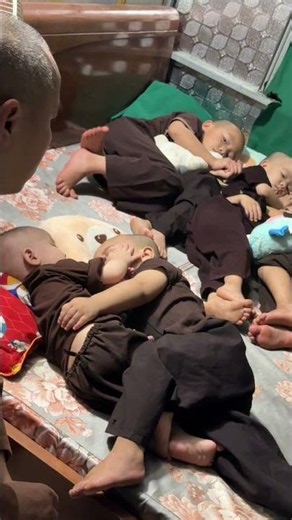 Học đàn,đánh đàn ru tụi nó ngủ mà nó vẫn thức các bác ơi😂