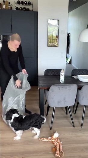 Indbrud Prank På Max...