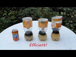 Wasp trap, efficient and cheap!