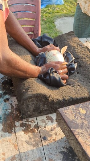 Why Injection Carp Fish💉🐟 #shorts