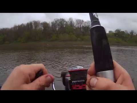 USING a Baitrunner Spinning Reel? KastKing Sharky Baitfeeder - Baitrunner Spinning Reel