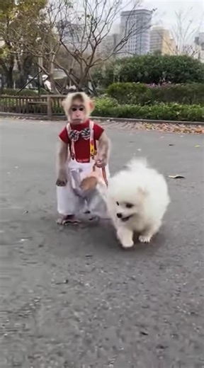 Nana Enjoys a Walk with Her Dog