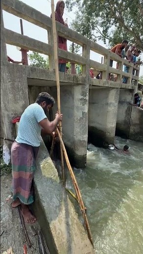 Catching Fish After Sudden Water Disturbance From Earthquake Waves #Shorts