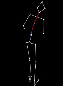 One important element of maintaining the head outside of the hip is understanding spine flexibility. The spine is comprised of the cervical (neck), thoracic (upper & middle), and lumbar (lower). The cervical has the most right/left lateral mobility followed by the thoracic with the least range of motion being the lumbar. The range of motion of right/left range of motion are: cervical (approximately 45 degrees), thoracic (approximately 40 degrees), and lumbar (approximately 30 degrees). According
