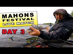 Mahons Festival 2022 Day 3 - LIVE MATCH FISHING