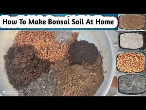 How To Make Bonsai Soil At Home | Bonsai Soil Making 2024 | Bonsai Soil Mix