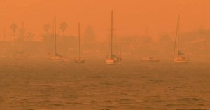 WATCH | Australia's devastating bushfires: what we know so far