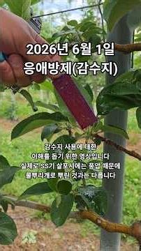 응애가 안잡힐때는 여러가지 경우를 생각해주시고, 감수지 사용도 고려해주십시오 #사과 #농약 #예찰 #응애 #점박이응애 #사과응애 #응애방제 #감수지