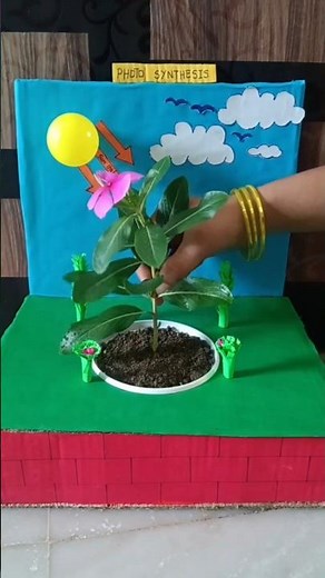 photosynthesis working model 3D||photosynthesis science project making#photosynthesis #diy