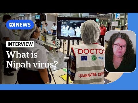 What is Nipah virus? | ABC NEWS