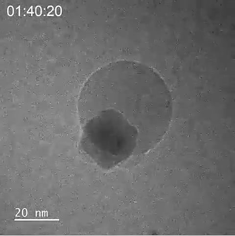 Watch a single bubble of water form, atom by atom 🫧 For the first time ever, scientists captured the process of two atoms of hydrogen and one of oxygen combining to form water – observed directly at the molecular scale. Using a tiny piece of palladium as a catalyst, researchers watched hydrogen atoms embed into the metal’s lattice structure. When oxygen was introduced, the hydrogen re-emerged and bonded with the oxygen atoms, forming a bubble of water – the smallest ever seen – recorded in real