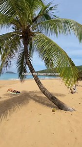 Any Death in Paradise fans out there? 🎬🌴 The hit BBC crime series is actually filmed right here in the Guadeloupe Islands! The show follows a British detective solving murders on the fictional island of Saint Marie… but all those stunning scenes? They’re all shot in Deshaies, Guadeloupe.🇬🇵 Can you spot any familiar spots? 🎥 @georgialtravels | Guadeloupe Islands