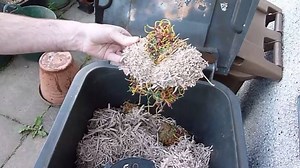 10 comments | Man tortures rubber band ball with horrible results! | I Hate Myself When I Start Crying In Front Of Someone :/ | Facebook