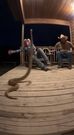 Imagine getting woken up with this | Alan Beck