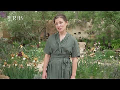 How to use colour and shapes in your garden | Take Home Chelsea | The RHS