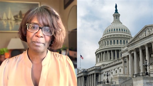 Illinois GOP US Senate candidate Long is a DEI consultant who’s far from a "woke" Republican